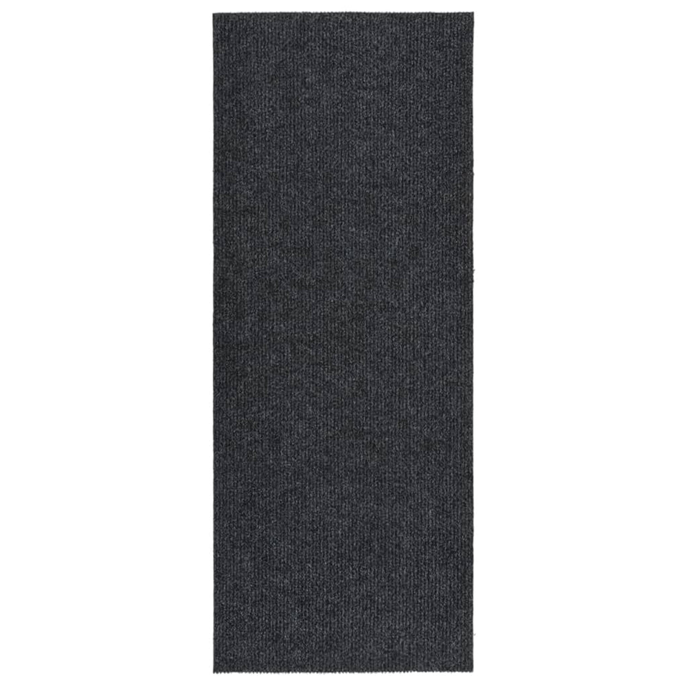 Schmutzfangläufer Anthrazit 100x250 cm