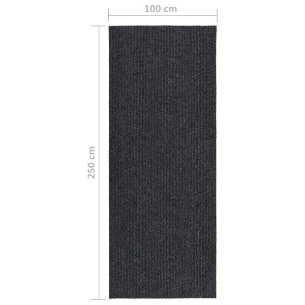 Schmutzfangläufer Anthrazit 100x250 cm