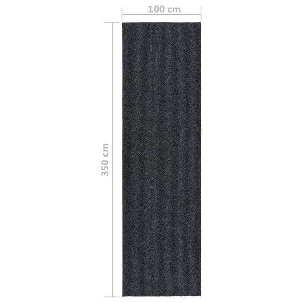 Schmutzfangläufer Anthrazit 100x350 cm