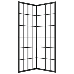 Duschkabine ESG 80x80x180 cm