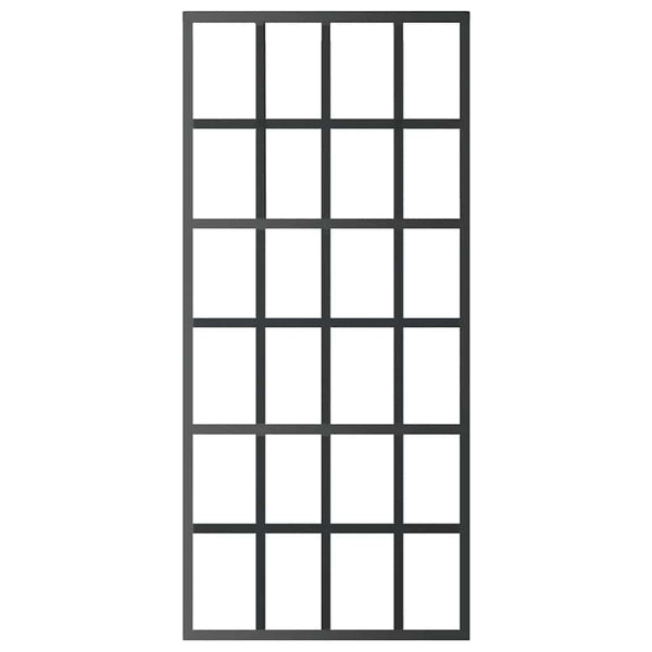 Schiebetür ESG-Glas und Aluminium 90x205 cm Schwarz