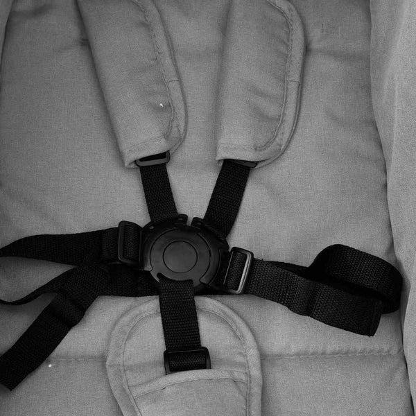 vidaXL Poussette double gris clair et noir Acier
