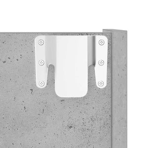 Wand Schuhschrank Betongrau 60x90 cm