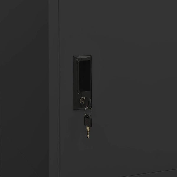 vidaXL Armoire anthracite 80x50x180 cm acier