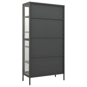 vidaXL Vitrine anthracite 90x40x180 cm acier et verre trempé