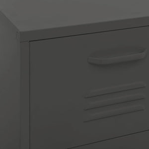 Lagerschrank Anthrazit Stahl 42,5x35x101,5 cm