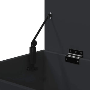 Schwarze Aufbewahrungstruhe 84x42x46 cm