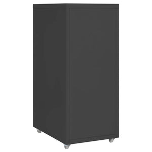 vidaXL Classeur à roulettes anthracite 28x41x69 cm Métal