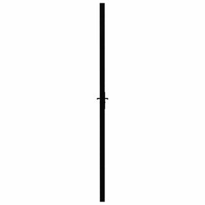 Innentür ESG Glas und Aluminium 93x201,5 cm Schwarz