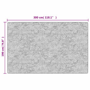 Waschbarer Teppich 190x300 cm Anthrazit