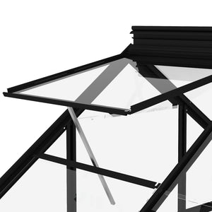 Glas Gewächshaus Anthrazit 155x200,5x191 cm Aluminium
