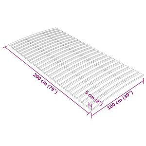 Lattenrost Ersatz 100x200 cm