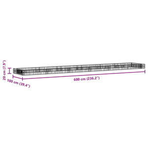 Gabionen-Hochbeet Verzinkter Stahl 600x100x20 cm