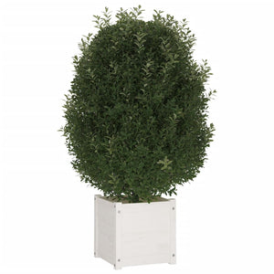vidaXL Jardinière Blanc 40x40x40 cm Pin massif