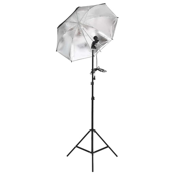 Fotostudio-Set mit Beleuchtung, Hintergrund und Reflektor