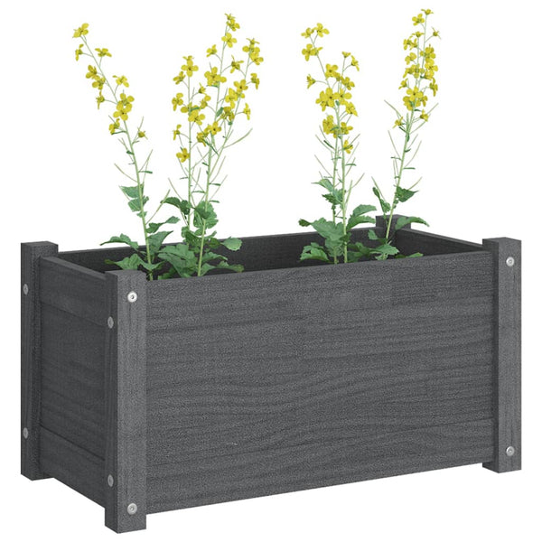 Pflanzkübel 2er Set Grau Kiefer 60cm
