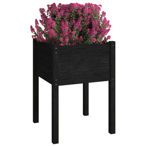 Pflanzkübel Set Schwarz Kiefer 50x50x70cm