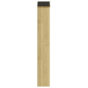 Geräteschuppen 40x33x222 cm Kiefernholz Imprägniert