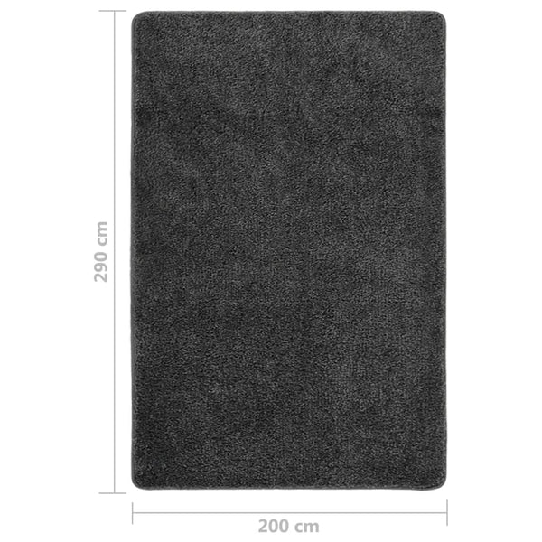 Dunkelgrauer Shaggy Teppich 200x290 cm