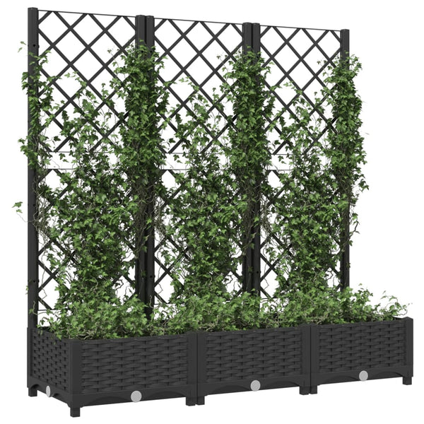 Garten-Pflanzgefäß mit Spalier Schwarz 120 x 40 x 121,5 cm PP