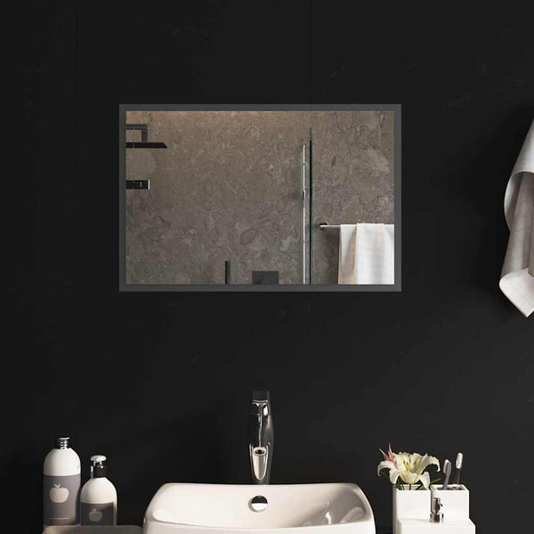 vidaXL Miroir de salle de bain LED 60x40 cm
