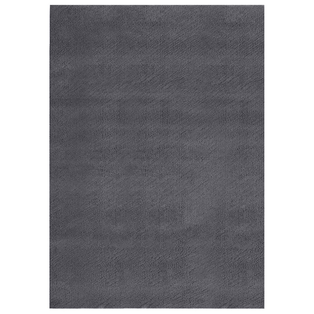 Waschbarer Teppich Kurzflor 160x230 Anthrazit