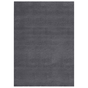 Waschbarer Teppich Kurzflor 160x230 Anthrazit