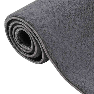 Waschbarer Teppich Kurzflor 160x230 Anthrazit