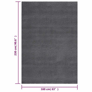 Waschbarer Teppich Kurzflor 160x230 Anthrazit