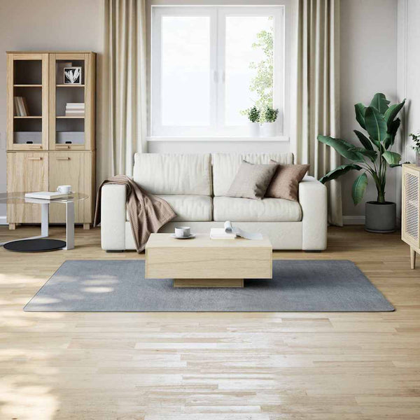 Waschbarer Teppich Kurzflor Grau 160x230 cm