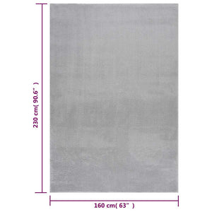 Waschbarer Teppich Kurzflor Grau 160x230 cm