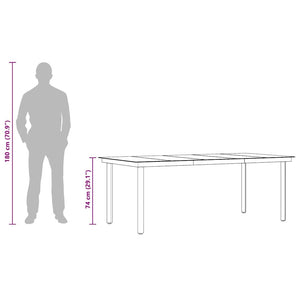 Garten-Esstisch Schwarz 200x100x74 cm Stahl und Glas