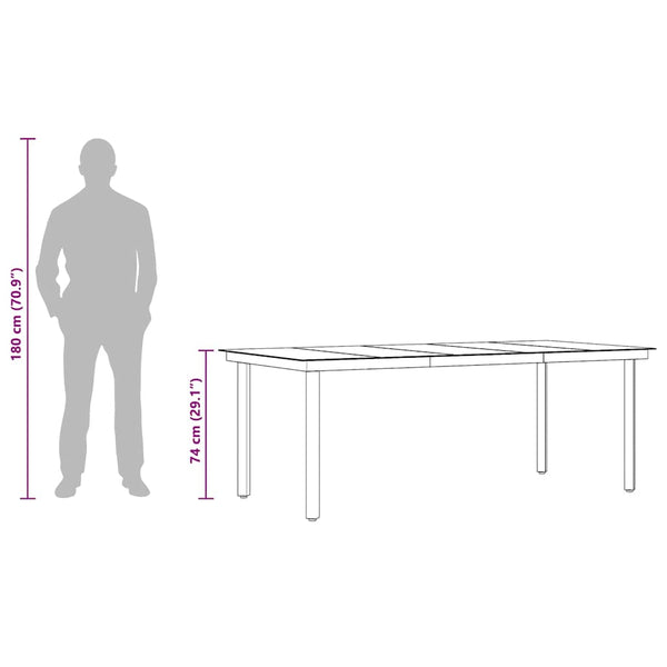 Garten-Esstisch Schwarz 200x100x74 cm Stahl und Glas