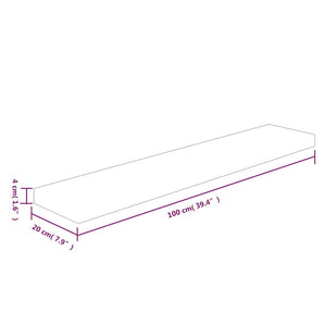 Massivholz Regalbrett Eiche 100x20 cm