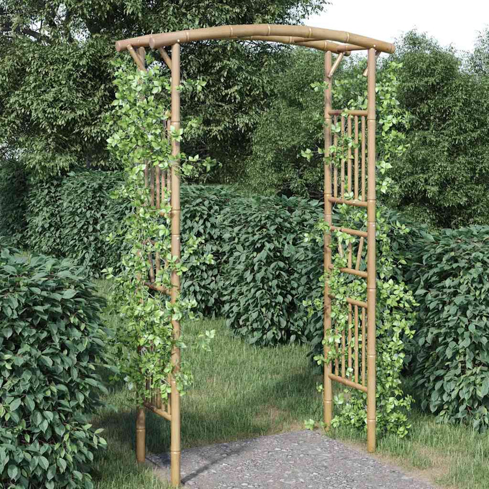 vidaXL Arche de jardin en bambou 118x40x187 cm