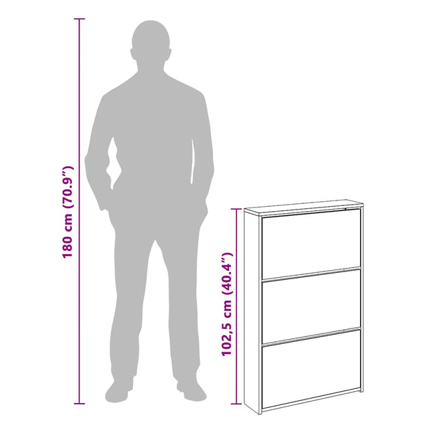 Schuhschrank mit Spiegel Schwarz 63x17x102,5 cm