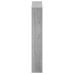 Schuhschrank mit Spiegel Grau Sonoma 63x102,5 cm