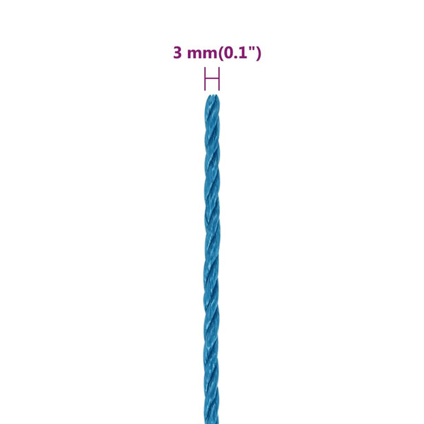 Arbeitsseil Blau 3 mm 100 m Polypropylen
