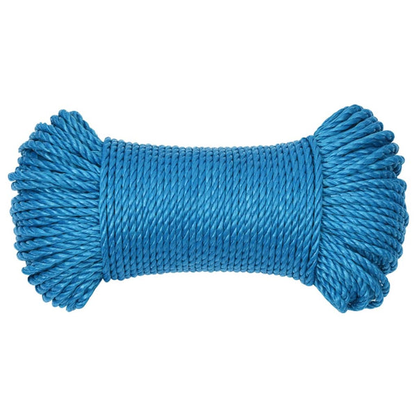 vidaXL Corde de travail bleue 3 mm 250 m Polypropylène