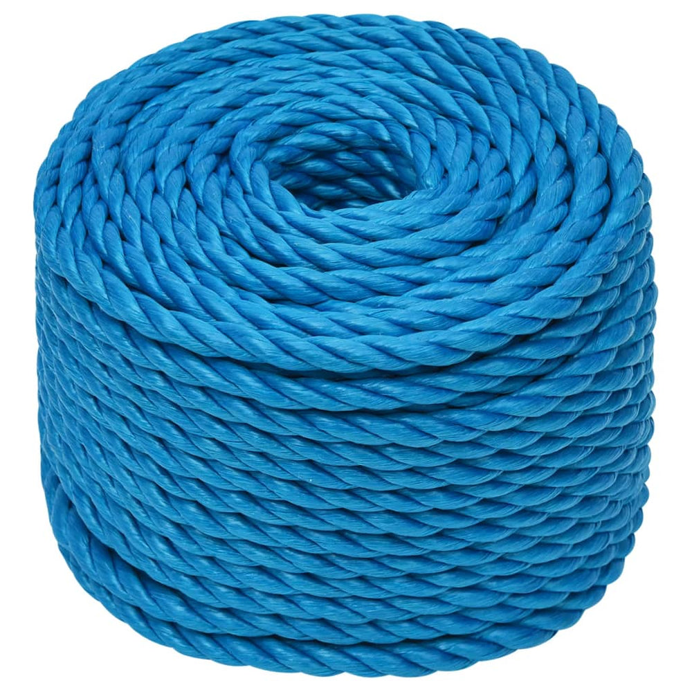 Arbeitsseil Blau 20 mm 100 m Polypropylen