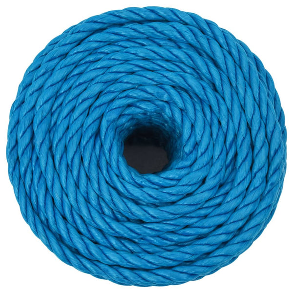 Arbeitsseil Blau 20 mm 100 m Polypropylen