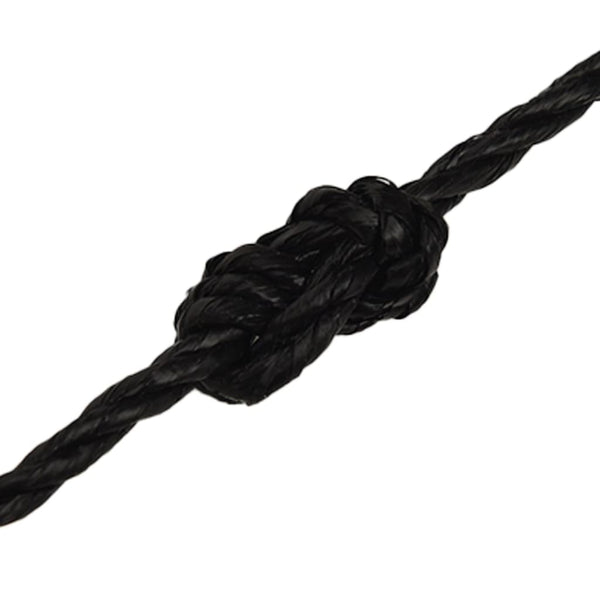 vidaXL Corde de travail noire 6 mm 500 m polypropylène