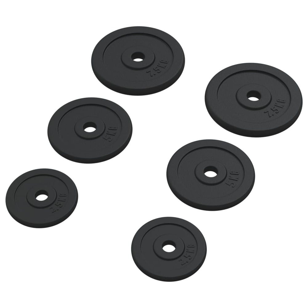 30 kg Hantelscheiben aus Gusseisen - 6er Set