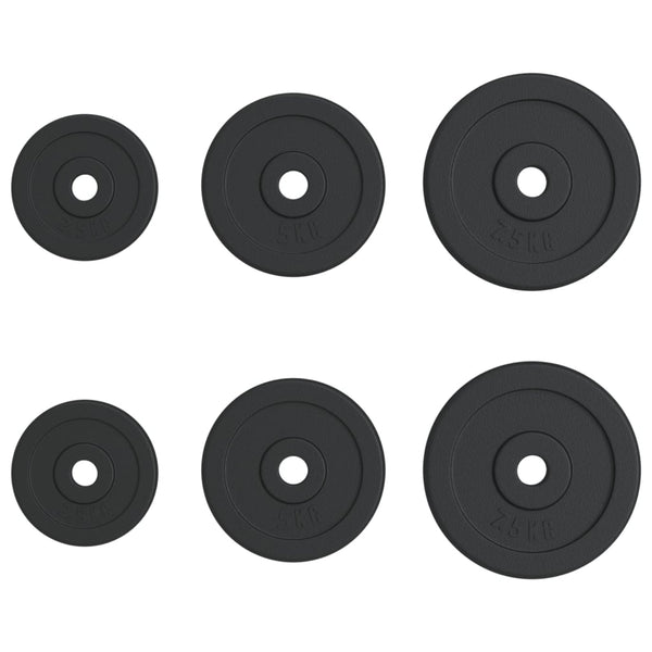30 kg Hantelscheiben aus Gusseisen - 6er Set