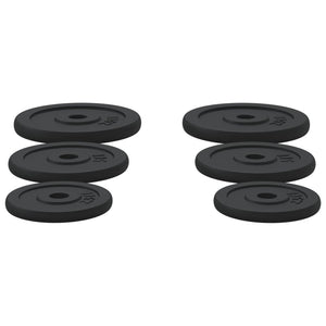 30 kg Hantelscheiben aus Gusseisen - 6er Set