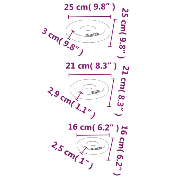 30 kg Hantelscheiben aus Gusseisen - 6er Set