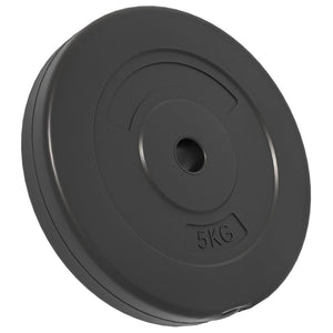 30 kg Hantelscheiben Set - 4 Stück
