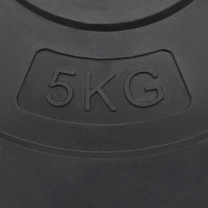 30 kg Hantelscheiben Set - 4 Stück