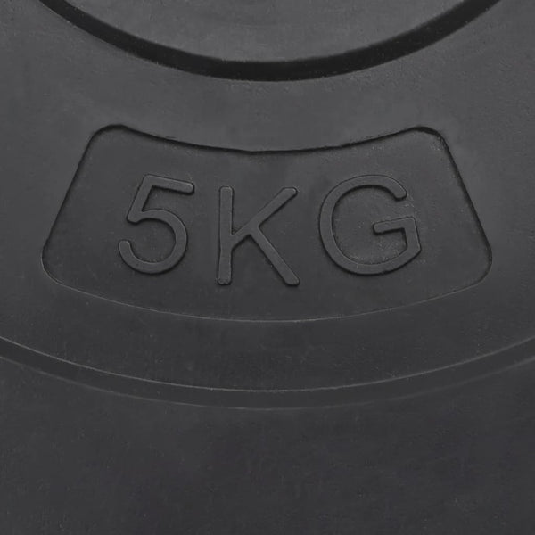 30 kg Hantelscheiben Set - 4 Stück