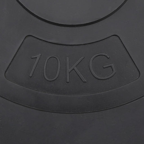 30 kg Hantelscheiben Set - 4 Stück